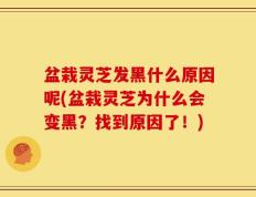 盆栽灵芝发黑什么原因呢(盆栽灵芝为什么会变黑？找到原因了！)
