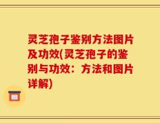 灵芝孢子鉴别方法图片及功效(灵芝孢子的鉴别与功效：方法和图片详解)