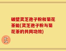 破壁灵芝孢子粉和菊花茶能(灵芝孢子粉与菊花茶的共同功效)