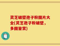 灵芝破壁孢子粉图片大全(灵芝孢子粉破壁，多图鉴赏)