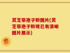 灵芝带孢子粉图片(灵芝带孢子粉现已有清晰图片展示)