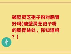 破壁灵芝孢子粉对肠胃好吗(破壁灵芝孢子粉的肠胃益处，你知道吗？)