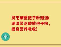 灵芝破壁孢子粉潮湿(潮湿灵芝破壁孢子粉，提高营养吸收)