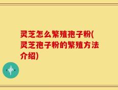 灵芝怎么繁殖孢子粉(灵芝孢子粉的繁殖方法介绍)
