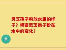 灵芝孢子粉放水里的样子？观察灵芝孢子粉在水中的变化？