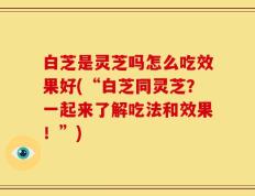 白芝是灵芝吗怎么吃效果好(“白芝同灵芝？一起来了解吃法和效果！”)