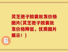 灵芝孢子胶囊批发价格图片(灵芝孢子胶囊批发价格降低，优质图片展示！)