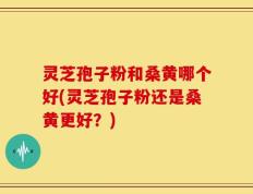 灵芝孢子粉和桑黄哪个好(灵芝孢子粉还是桑黄更好？)