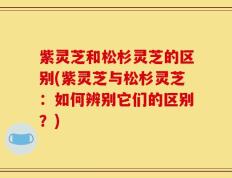 紫灵芝和松杉灵芝的区别(紫灵芝与松杉灵芝：如何辨别它们的区别？)