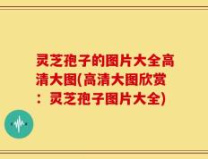 灵芝孢子的图片大全高清大图(高清大图欣赏：灵芝孢子图片大全)