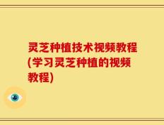 灵芝种植技术视频教程(学习灵芝种植的视频教程)