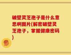 破壁灵芝孢子是什么意思啊图片(解密破壁灵芝孢子，掌握健康密码)