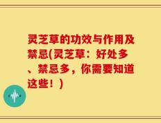 灵芝草的功效与作用及禁忌(灵芝草：好处多、禁忌多，你需要知道这些！)