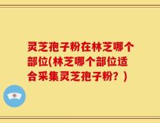 灵芝孢子粉在林芝哪个部位(林芝哪个部位适合采集灵芝孢子粉？)