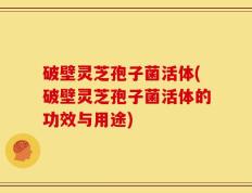 破壁灵芝孢子菌活体(破壁灵芝孢子菌活体的功效与用途)