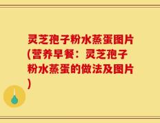 灵芝孢子粉水蒸蛋图片(营养早餐：灵芝孢子粉水蒸蛋的做法及图片)