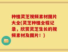 种植灵芝视频素材图片大全(灵芝种植全程记录，欣赏灵芝生长的视频素材及图片！)