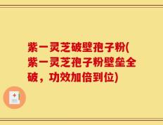 紫一灵芝破壁孢子粉(紫一灵芝孢子粉壁垒全破，功效加倍到位)