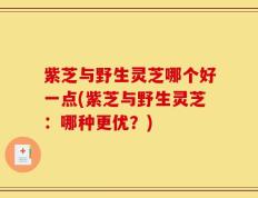 紫芝与野生灵芝哪个好一点(紫芝与野生灵芝：哪种更优？)