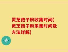 灵芝孢子粉收集时间(灵芝孢子粉采集时间及方法详解)