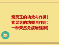 紫灵芝的功效与作用(紫灵芝的功效与作用：一种天然免疫增强剂)