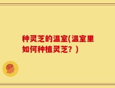 种灵芝的温室(温室里如何种植灵芝？)