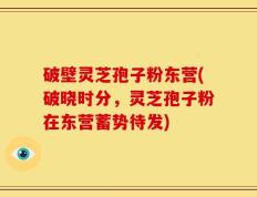 破壁灵芝孢子粉东营(破晓时分，灵芝孢子粉在东营蓄势待发)