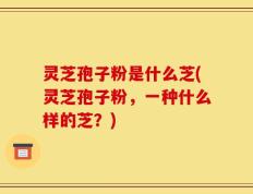 灵芝孢子粉是什么芝(灵芝孢子粉，一种什么样的芝？)