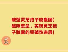 破壁灵芝孢子胶囊图(破除壁垒，实现灵芝孢子胶囊的突破性进展)