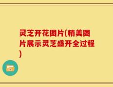灵芝开花图片(精美图片展示灵芝盛开全过程)
