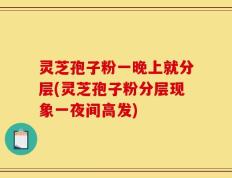 灵芝孢子粉一晚上就分层(灵芝孢子粉分层现象一夜间高发)