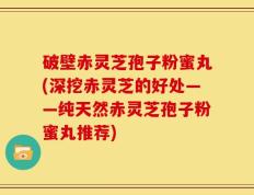 破壁赤灵芝孢子粉蜜丸(深挖赤灵芝的好处——纯天然赤灵芝孢子粉蜜丸推荐)
