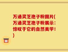 万通灵芝孢子粉图片(万通灵芝孢子粉展示：惊叹于它的自然美学！)
