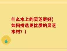什么木上的灵芝更好(如何挑选更优质的灵芝木材？)