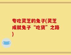专吃灵芝的兔子(灵芝成就兔子“吃货”之路)