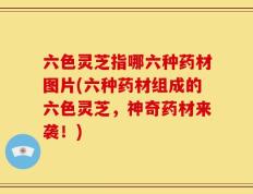 六色灵芝指哪六种药材图片(六种药材组成的六色灵芝，神奇药材来袭！)