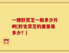 一棵野灵芝一般多少斤啊(野生灵芝的重量是多少？)