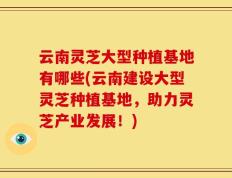 云南灵芝大型种植基地有哪些(云南建设大型灵芝种植基地，助力灵芝产业发展！)