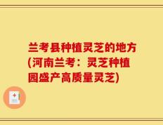 兰考县种植灵芝的地方(河南兰考：灵芝种植园盛产高质量灵芝)