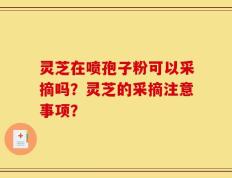 灵芝在喷孢子粉可以采摘吗？灵芝的采摘注意事项？