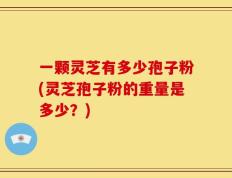 一颗灵芝有多少孢子粉(灵芝孢子粉的重量是多少？)