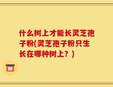 什么树上才能长灵芝孢子粉(灵芝孢子粉只生长在哪种树上？)