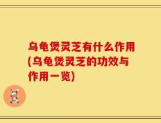 乌龟煲灵芝有什么作用(乌龟煲灵芝的功效与作用一览)