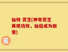 仙特 灵芝(神奇灵芝再现功效，仙菇成为新宠)