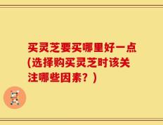 买灵芝要买哪里好一点(选择购买灵芝时该关注哪些因素？)