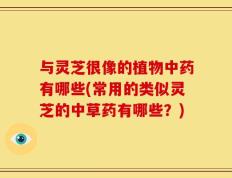 与灵芝很像的植物中药有哪些(常用的类似灵芝的中草药有哪些？)