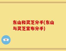 东山和灵芝分手(东山与灵芝宣布分手)