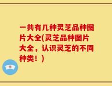 一共有几种灵芝品种图片大全(灵芝品种图片大全，认识灵芝的不同种类！)