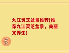 九江灵芝盆景推荐(推荐九江灵芝盆景，美丽又养生)