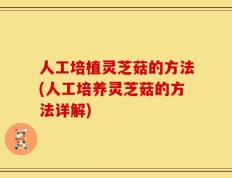人工培植灵芝菇的方法(人工培养灵芝菇的方法详解)